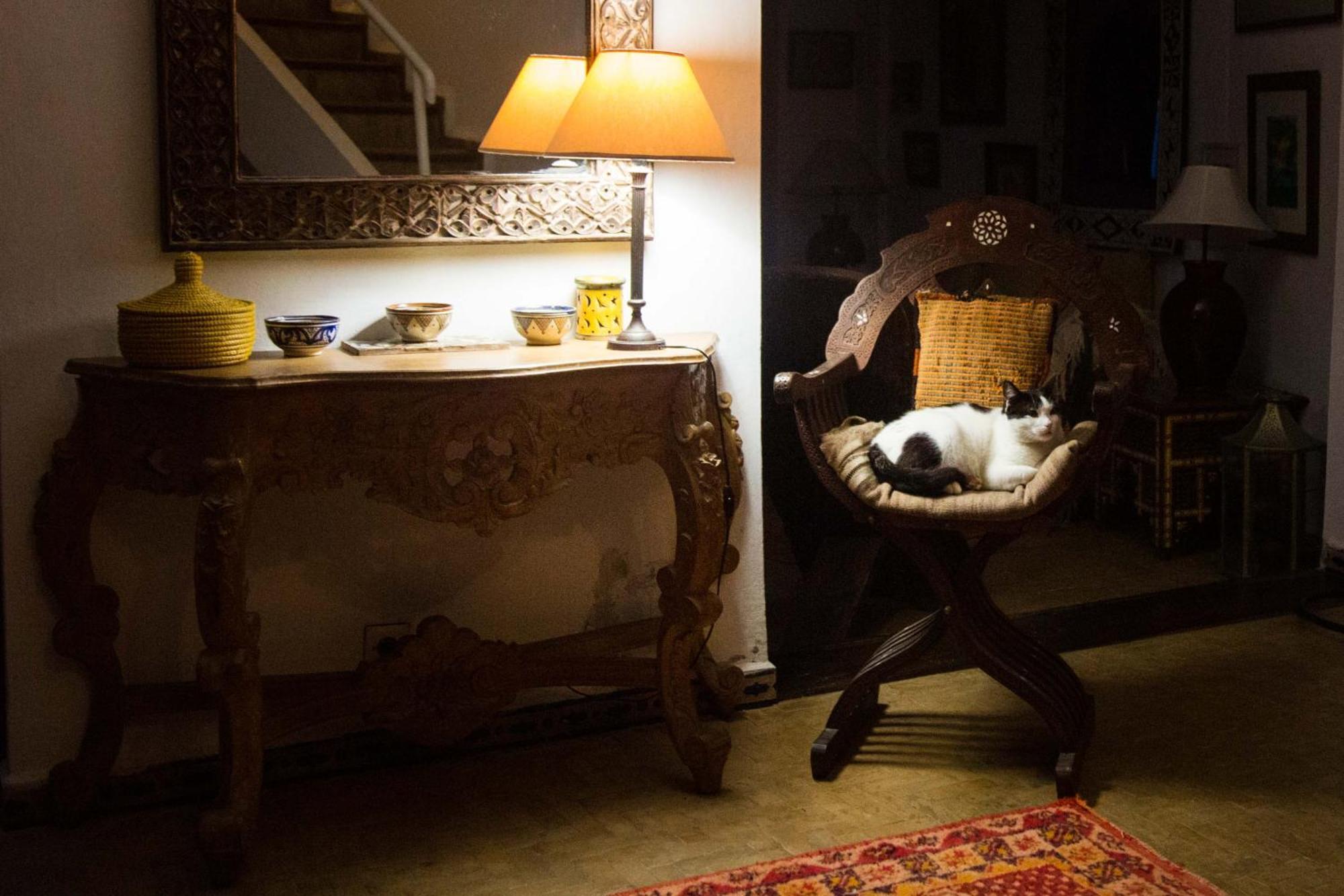 Riad Oasis D'아실라 외부 사진