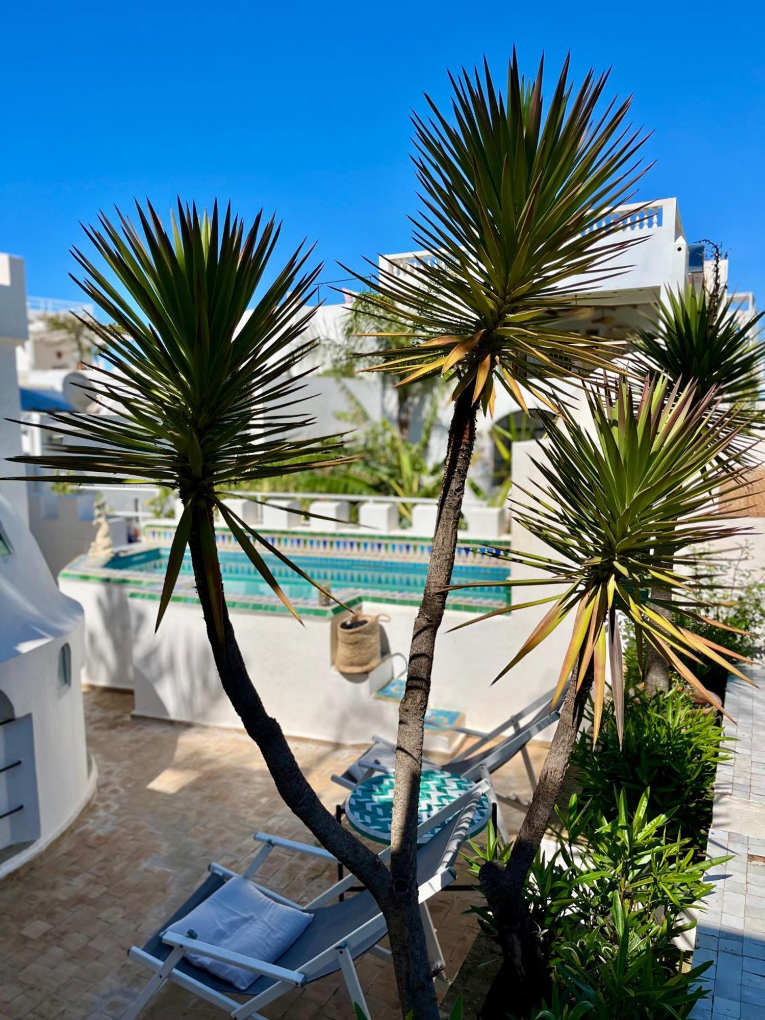 Riad Oasis D'아실라 외부 사진